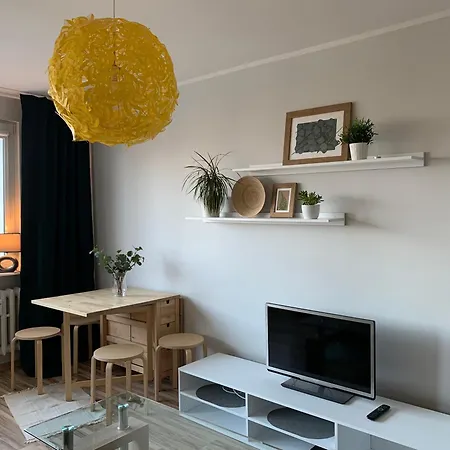 Avis Skwer Kosciuszki 42 *